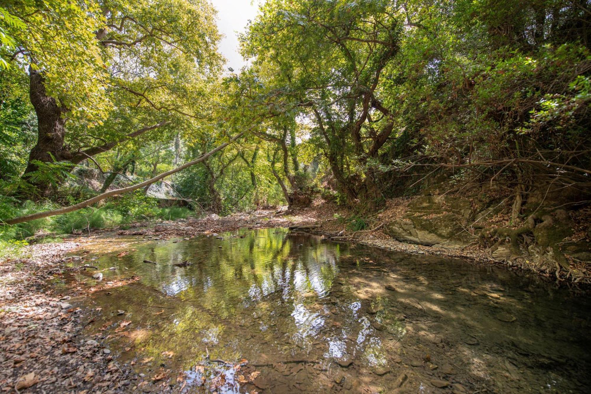 Serenity River Villa Palaiochora Bagian luar foto